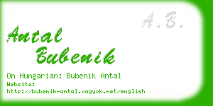 antal bubenik business card